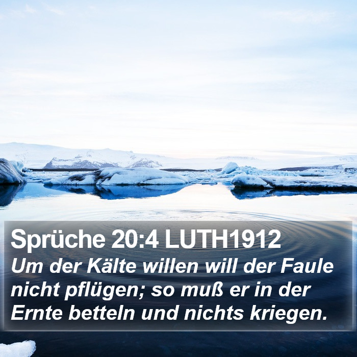 Sprüche 20:4 LUTH1912 Bible Study