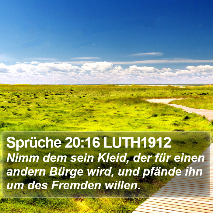 Sprüche 20:16 LUTH1912 Bible Study