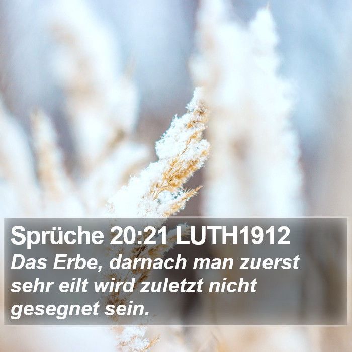 Sprüche 20:21 LUTH1912 Bible Study