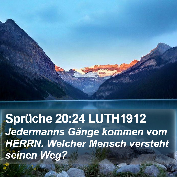 Sprüche 20:24 LUTH1912 Bible Study