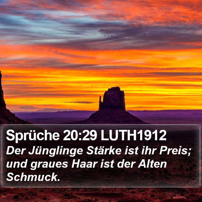 Sprüche 20:29 LUTH1912 Bible Study