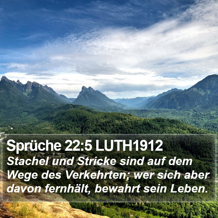 Sprüche 22:5 LUTH1912 Bible Study