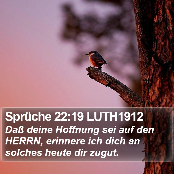 Sprüche 22:19 LUTH1912 Bible Study