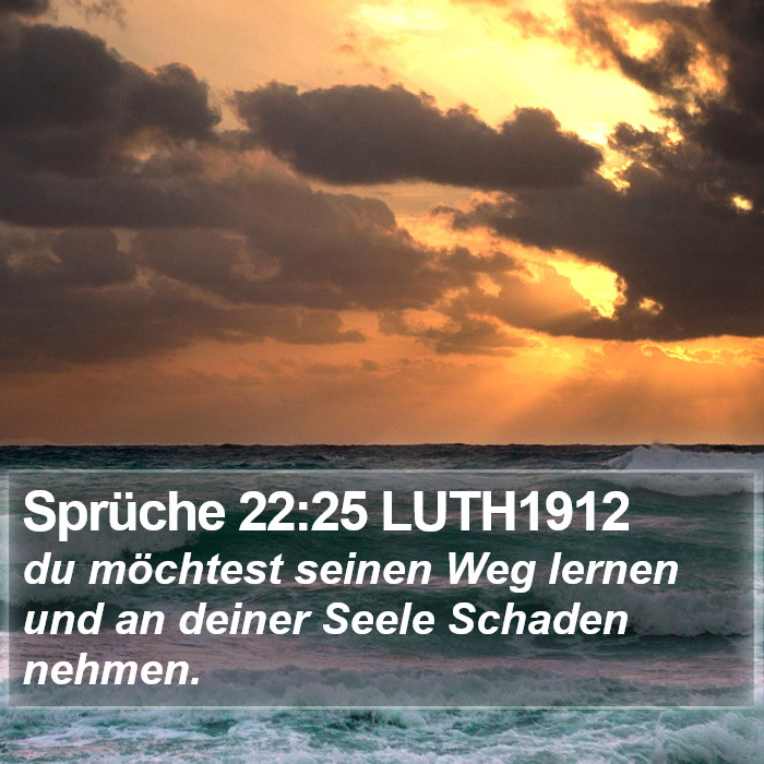 Sprüche 22:25 LUTH1912 Bible Study