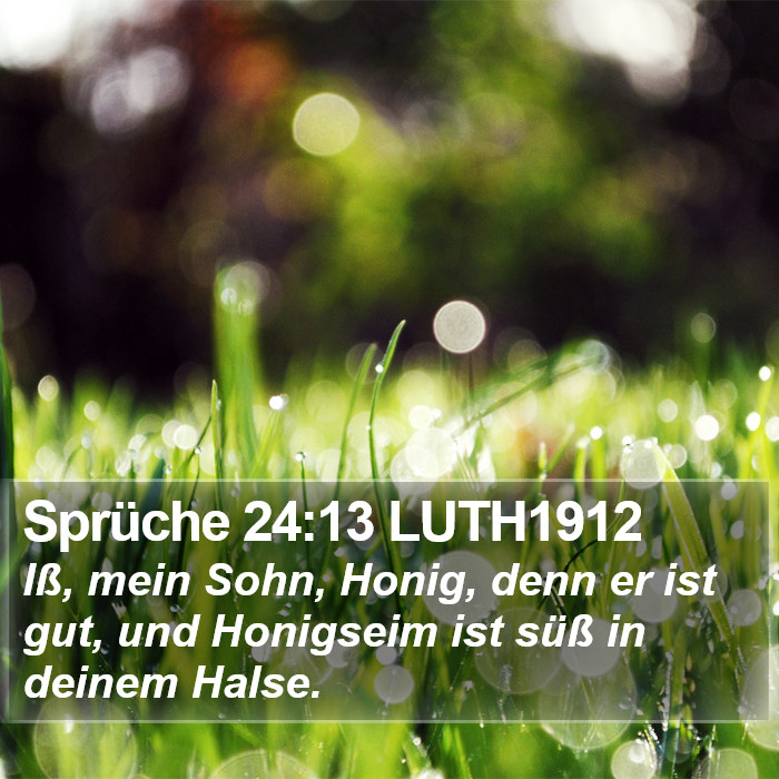 Sprüche 24:13 LUTH1912 Bible Study