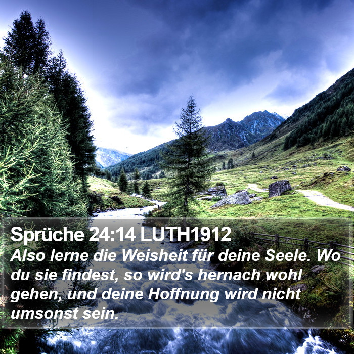 Sprüche 24:14 LUTH1912 Bible Study