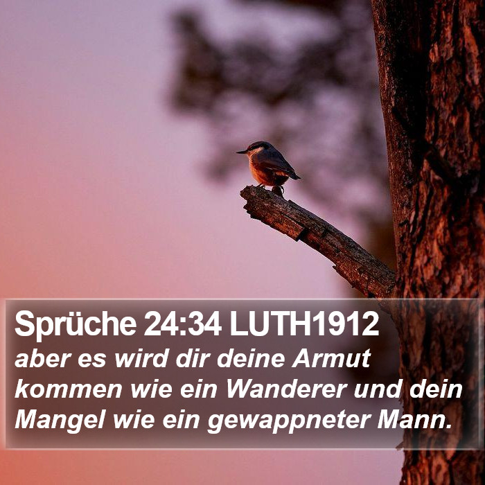 Sprüche 24:34 LUTH1912 Bible Study