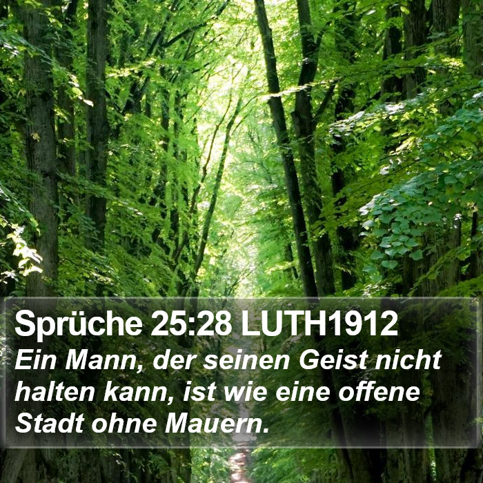 Sprüche 25:28 LUTH1912 Bible Study