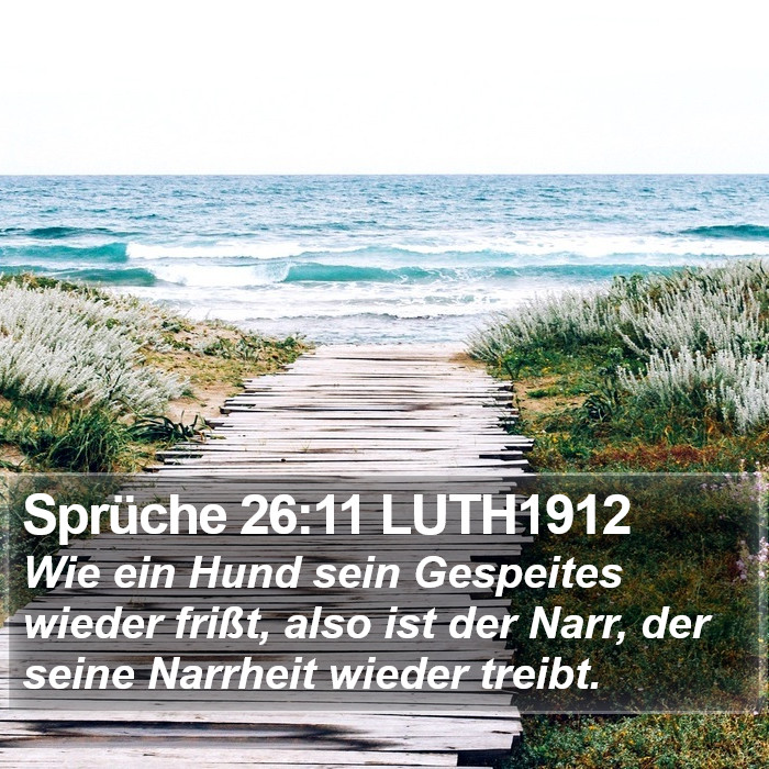 Sprüche 26:11 LUTH1912 Bible Study