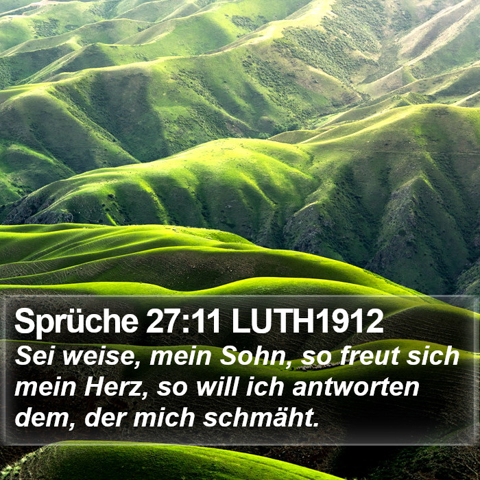 Sprüche 27:11 LUTH1912 Bible Study