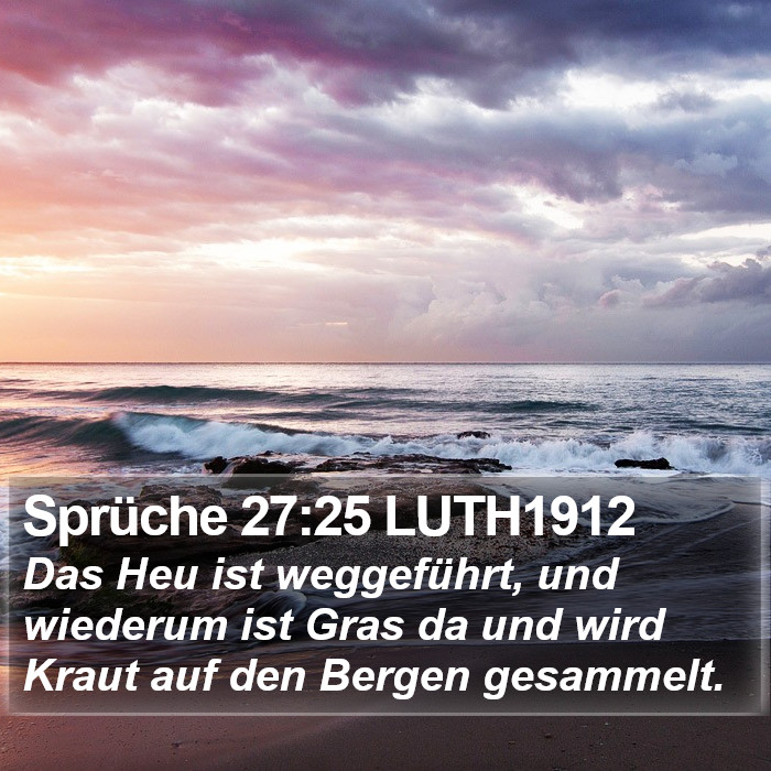 Sprüche 27:25 LUTH1912 Bible Study