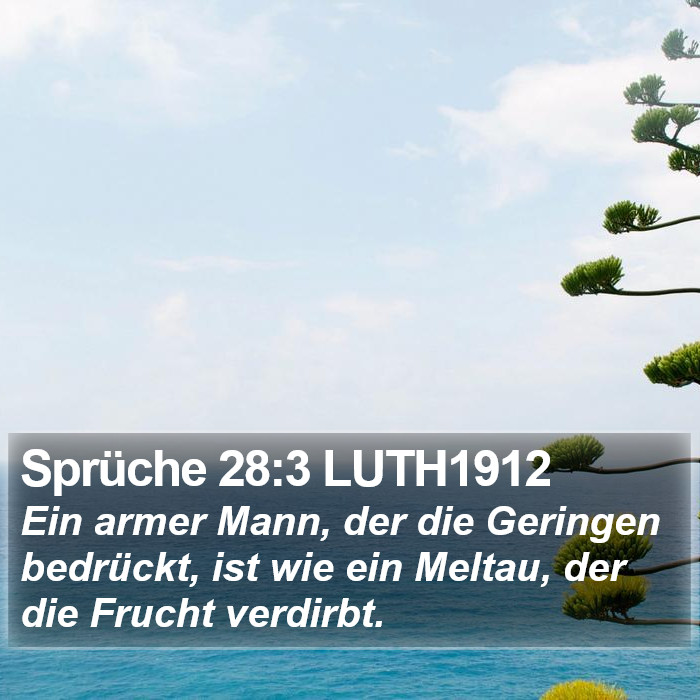 Sprüche 28:3 LUTH1912 Bible Study