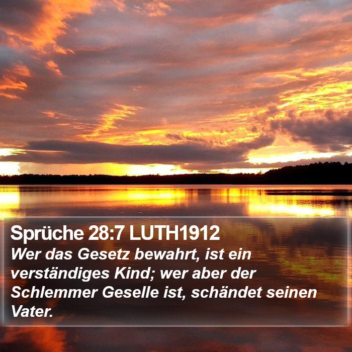 Sprüche 28:7 LUTH1912 Bible Study