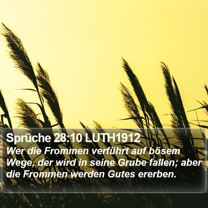 Sprüche 28:10 LUTH1912 Bible Study