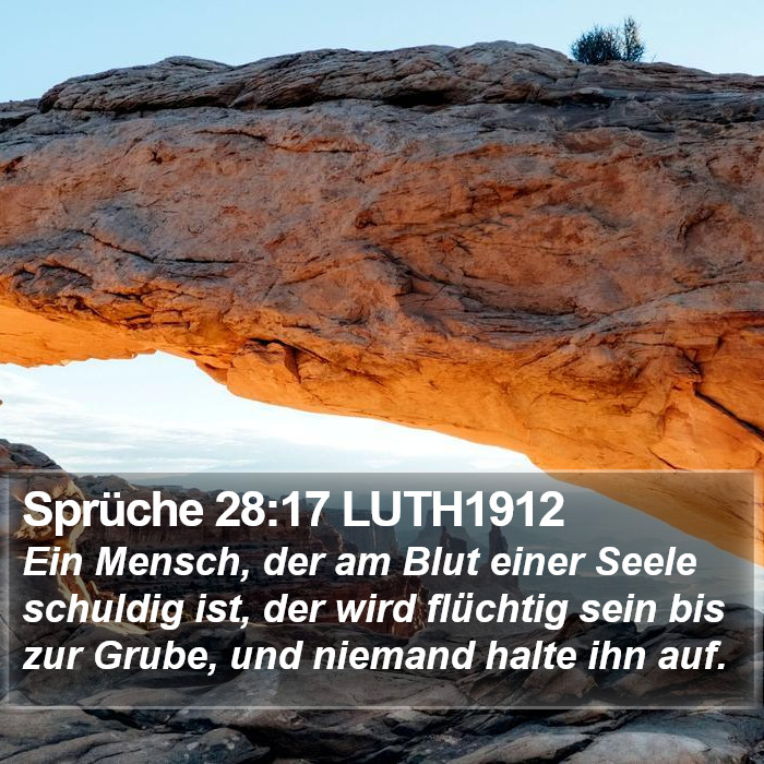 Sprüche 28:17 LUTH1912 Bible Study