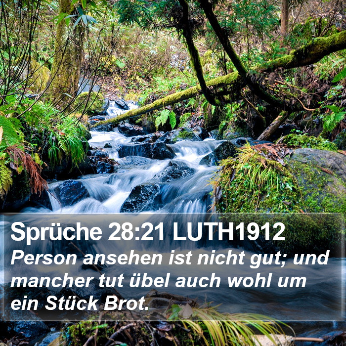 Sprüche 28:21 LUTH1912 Bible Study