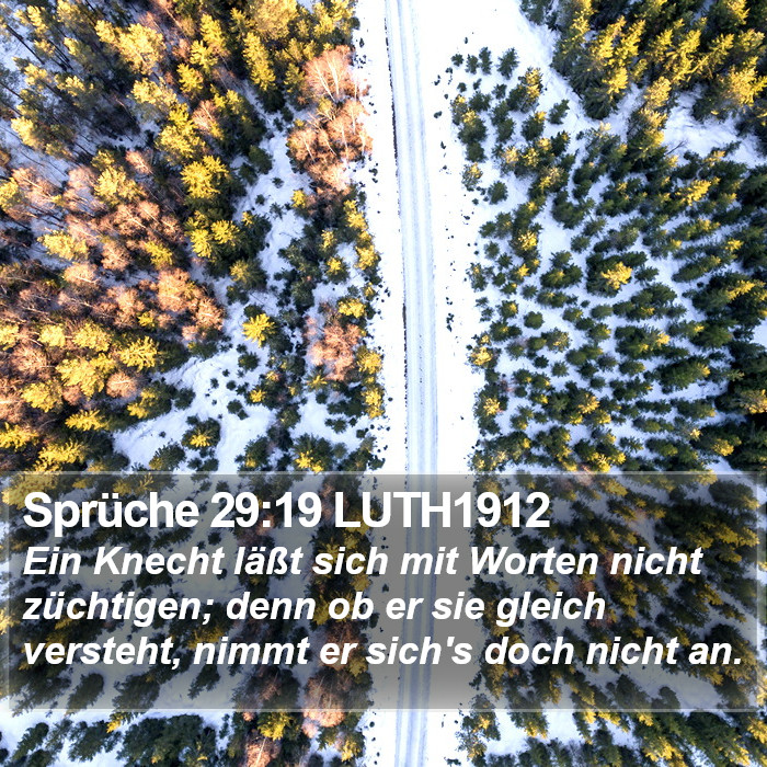 Sprüche 29:19 LUTH1912 Bible Study