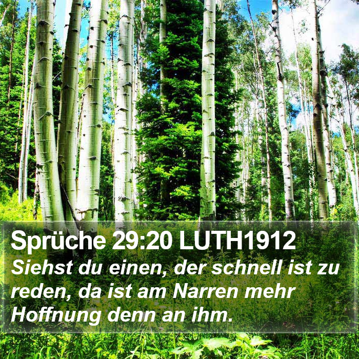 Sprüche 29:20 LUTH1912 Bible Study