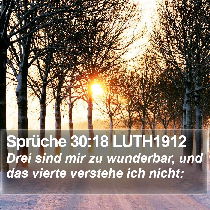 Sprüche 30:18 LUTH1912 Bible Study