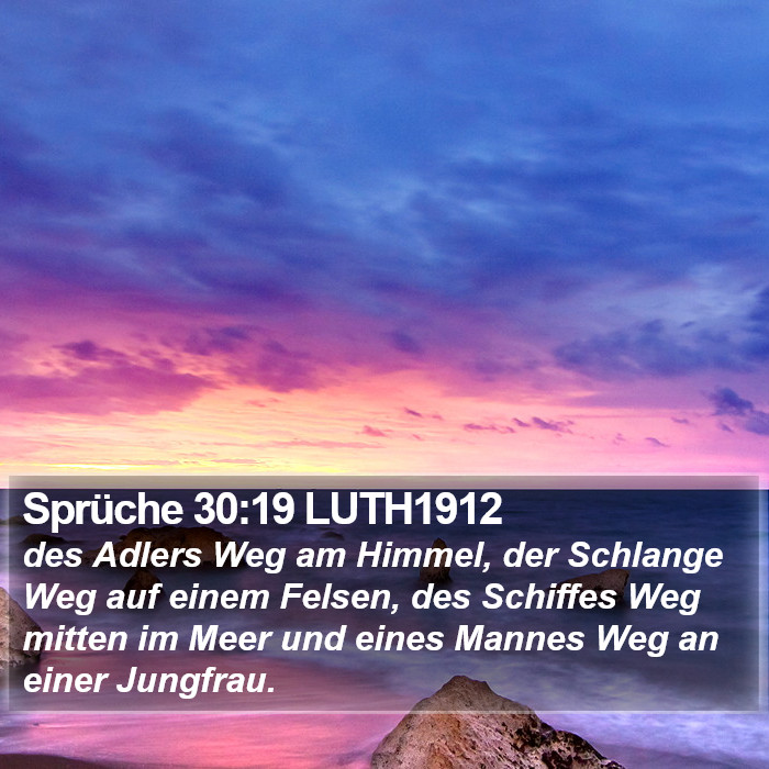 Sprüche 30:19 LUTH1912 Bible Study