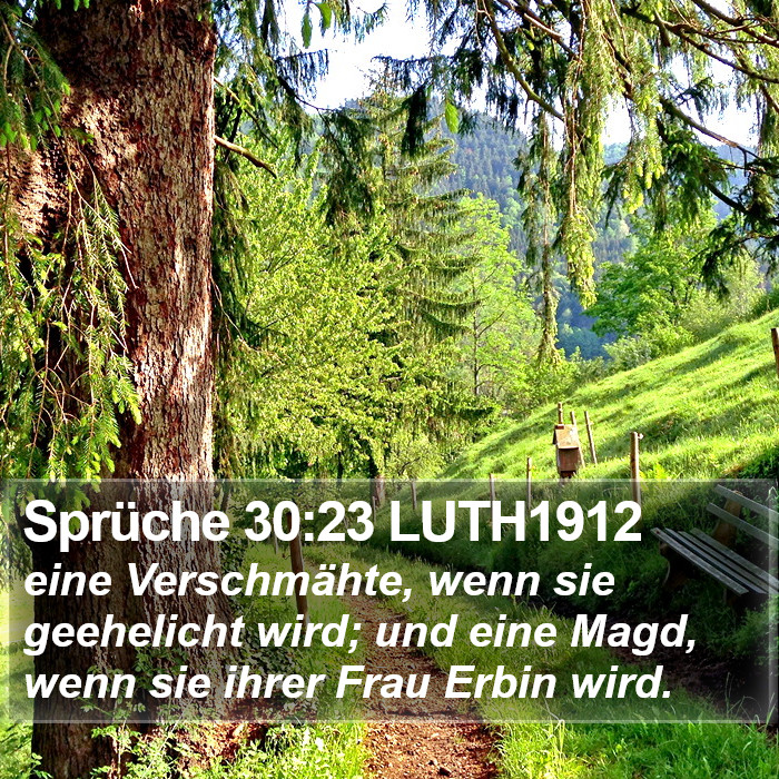 Sprüche 30:23 LUTH1912 Bible Study