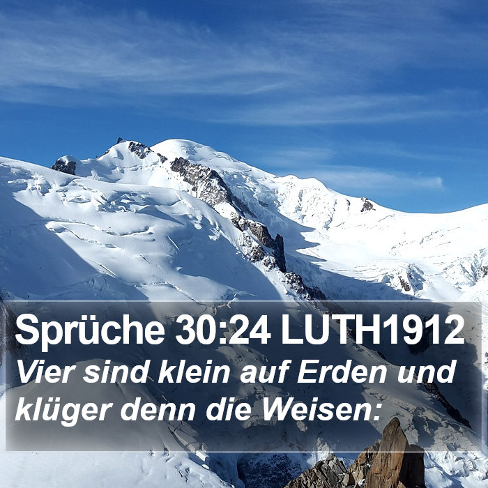 Sprüche 30:24 LUTH1912 Bible Study