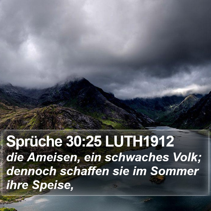 Sprüche 30:25 LUTH1912 Bible Study