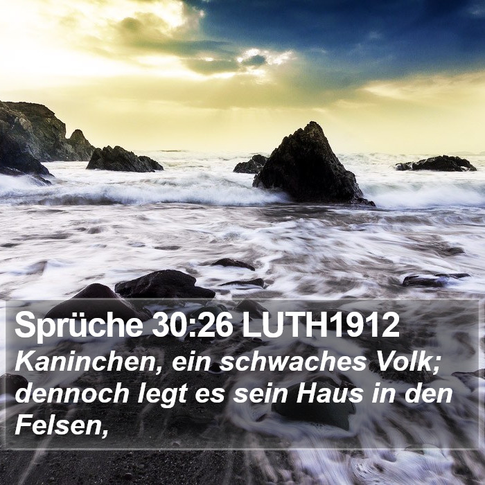 Sprüche 30:26 LUTH1912 Bible Study