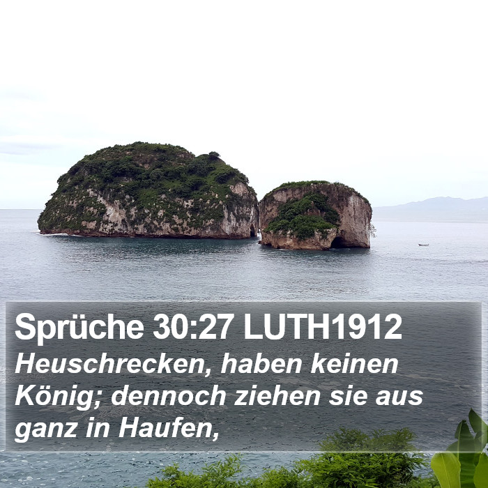 Sprüche 30:27 LUTH1912 Bible Study