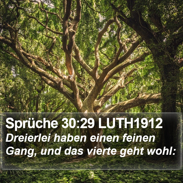 Sprüche 30:29 LUTH1912 Bible Study