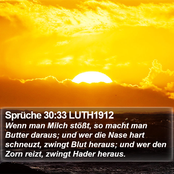 Sprüche 30:33 LUTH1912 Bible Study