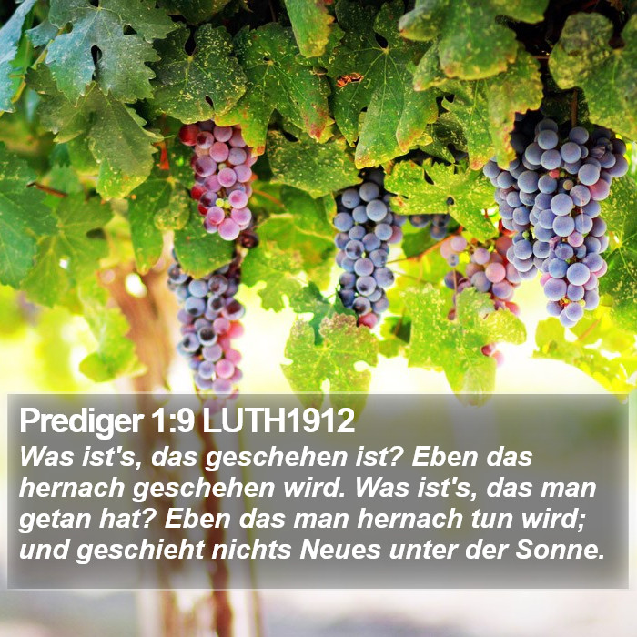 Prediger 1:9 LUTH1912 Bible Study