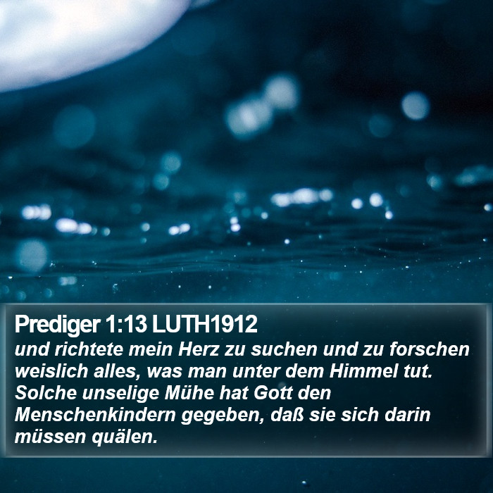 Prediger 1:13 LUTH1912 Bible Study