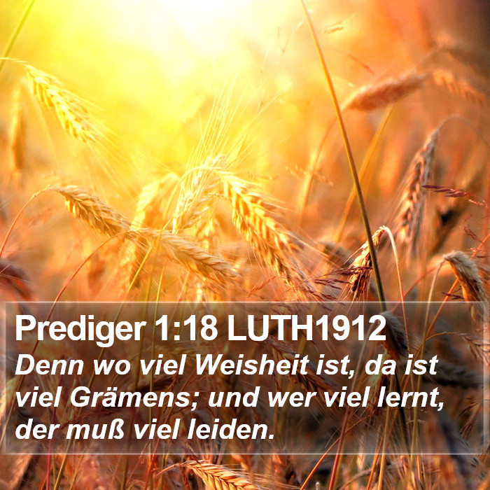 Prediger 1:18 LUTH1912 Bible Study