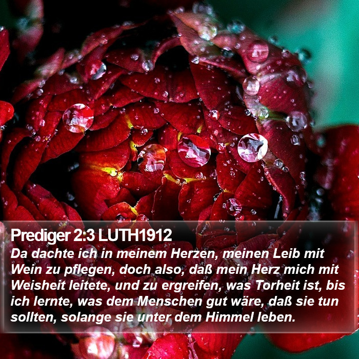 Prediger 2:3 LUTH1912 Bible Study
