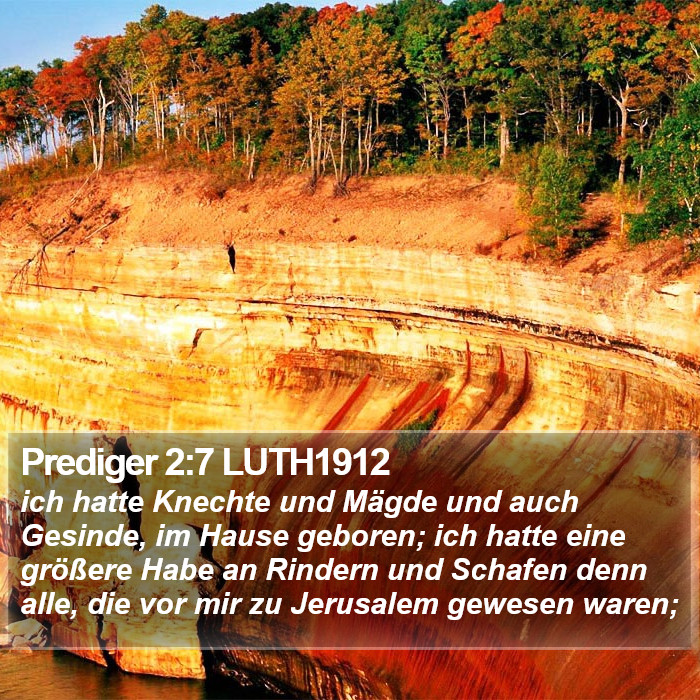 Prediger 2:7 LUTH1912 Bible Study