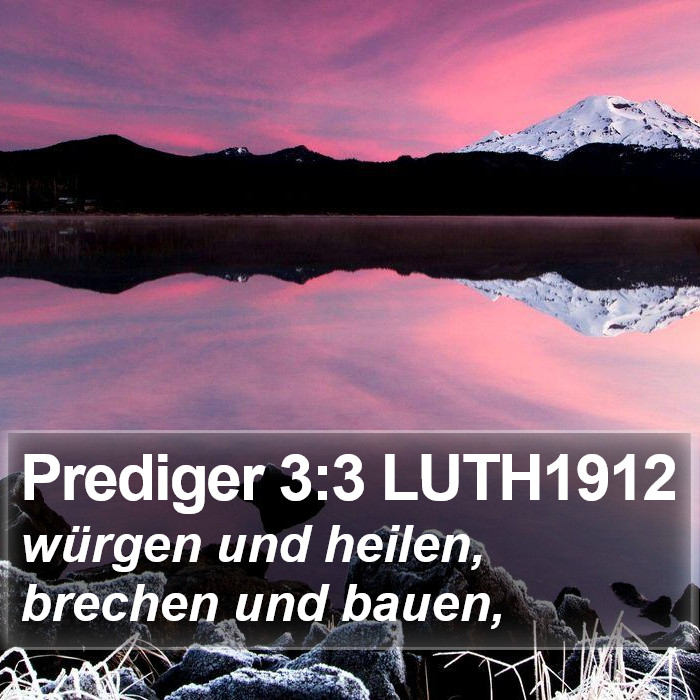 Prediger 3:3 LUTH1912 Bible Study