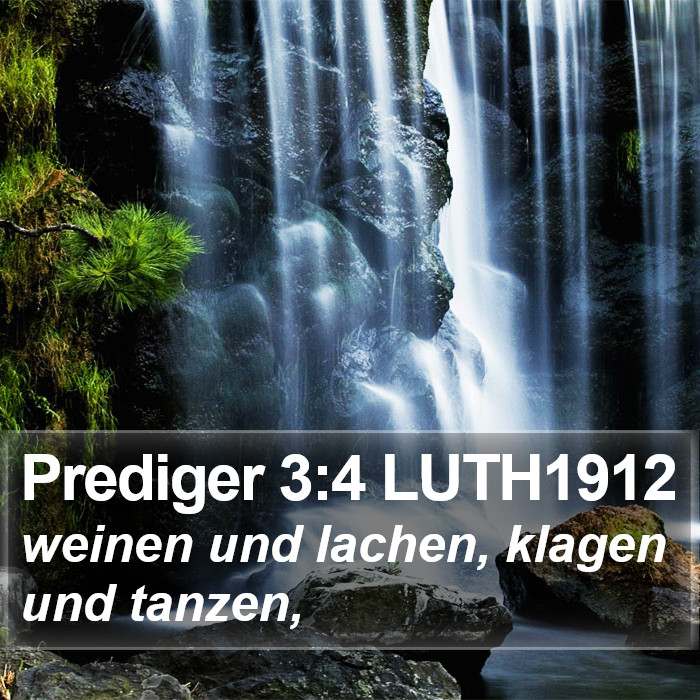 Prediger 3:4 LUTH1912 Bible Study
