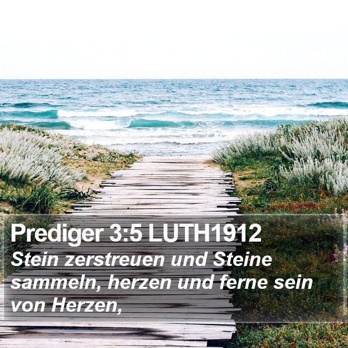 Prediger 3:5 LUTH1912 Bible Study