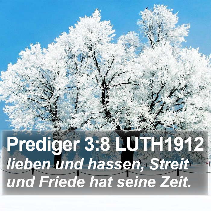 Prediger 3:8 LUTH1912 Bible Study