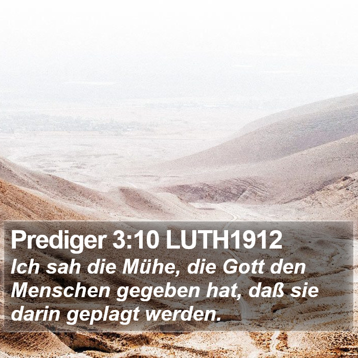 Prediger 3:10 LUTH1912 Bible Study