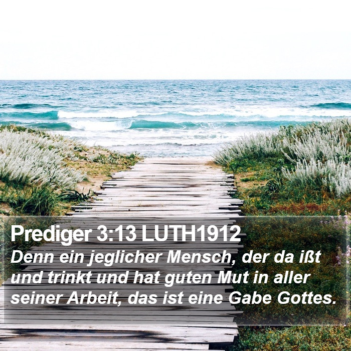 Prediger 3:13 LUTH1912 Bible Study