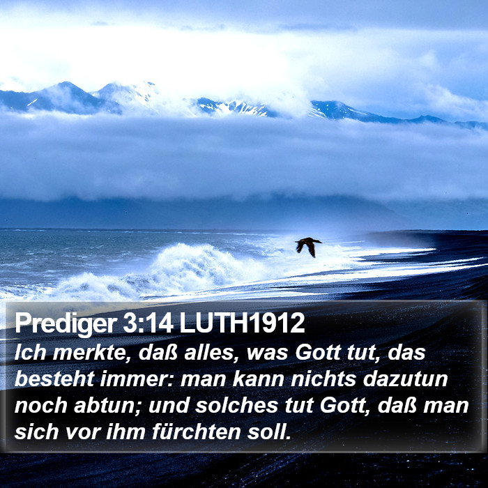Prediger 3:14 LUTH1912 Bible Study