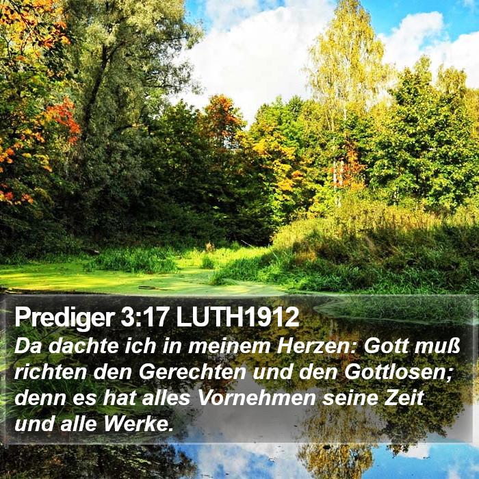Prediger 3:17 LUTH1912 Bible Study