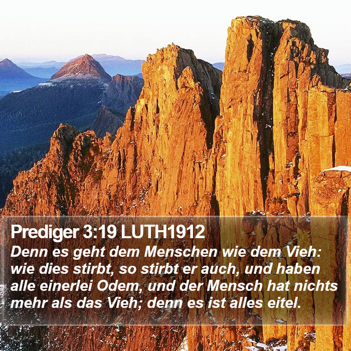 Prediger 3:19 LUTH1912 Bible Study