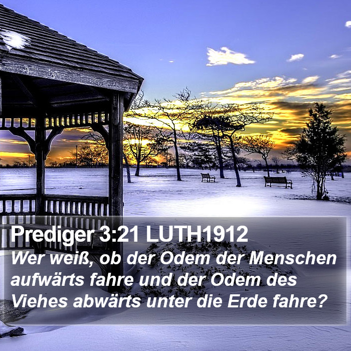 Prediger 3:21 LUTH1912 Bible Study