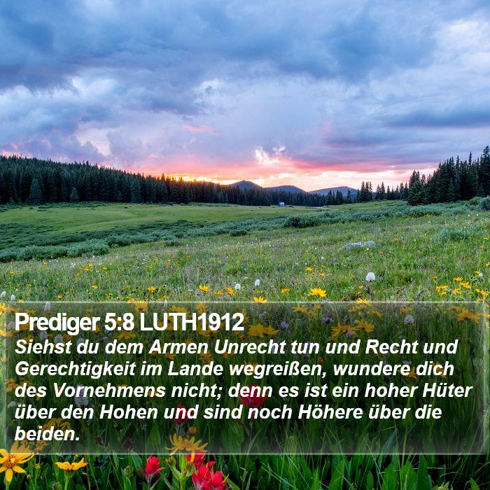 Prediger 5:8 LUTH1912 Bible Study