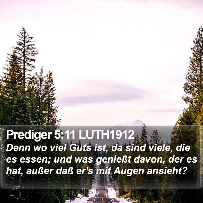 Prediger 5:11 LUTH1912 Bible Study