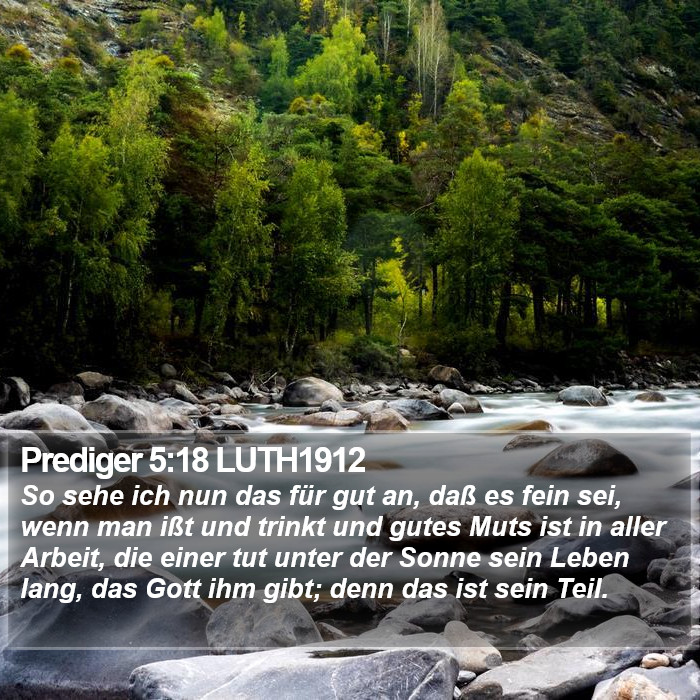 Prediger 5:18 LUTH1912 Bible Study