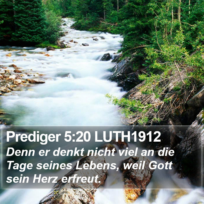 Prediger 5:20 LUTH1912 Bible Study